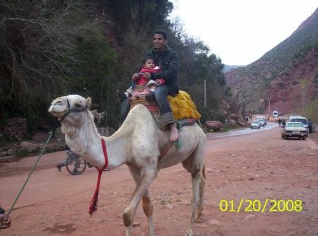 moi lhabib sur le chameau