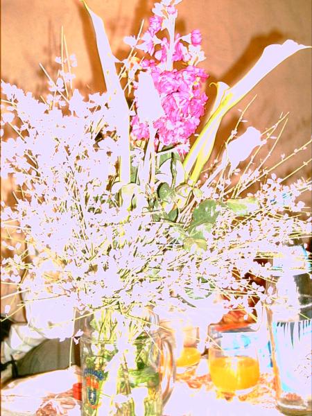 c'est a les toues les gens qui on vus se blog